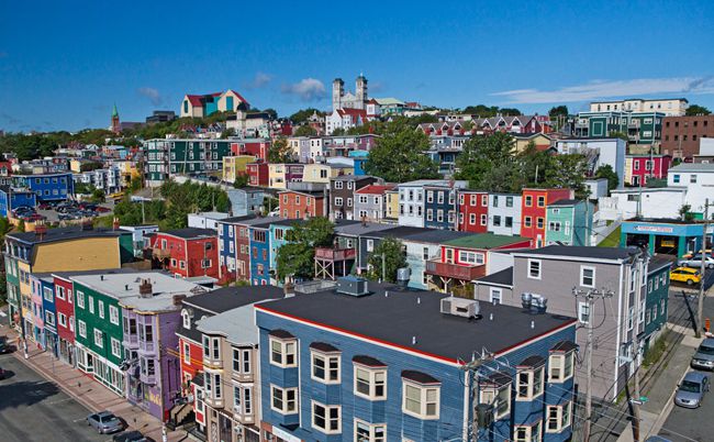 نيوفاوندلاند